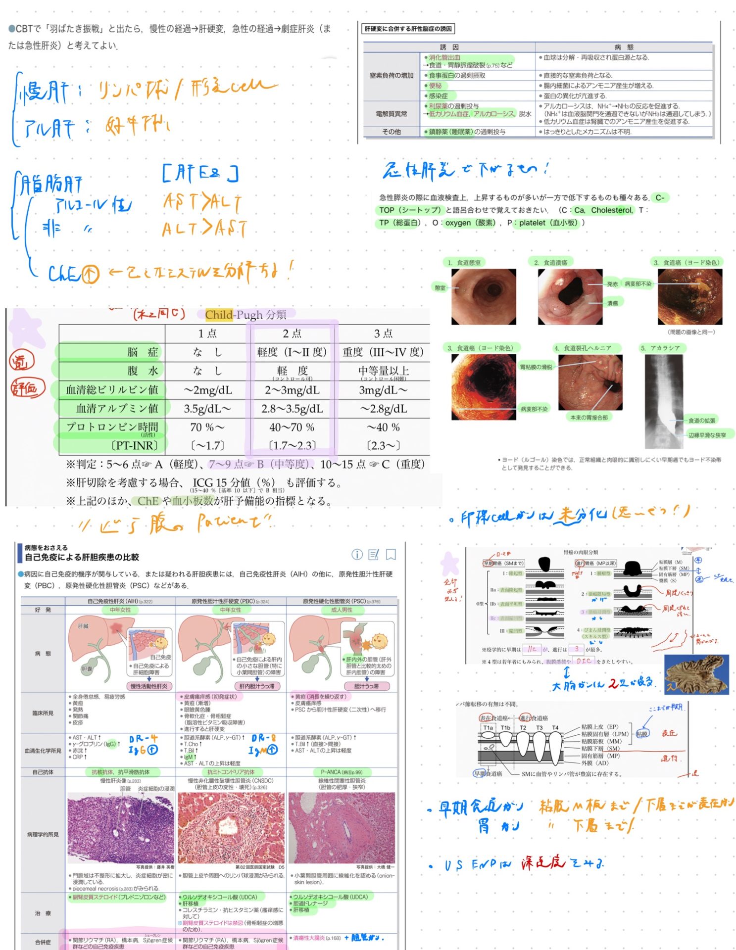 Ipad勉強法 Ipadを使った勉強が超効率的な9つの理由 学生から社会人まで Med Mixer